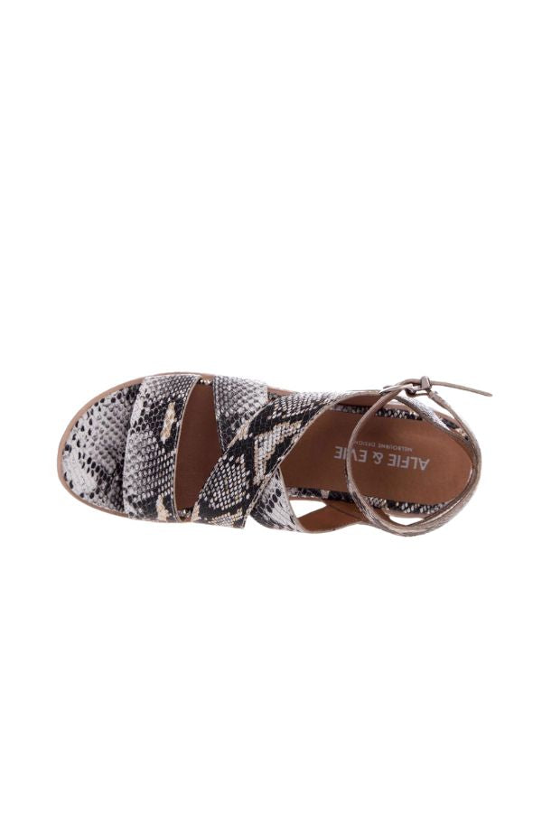 ITALO GREY PYTHON